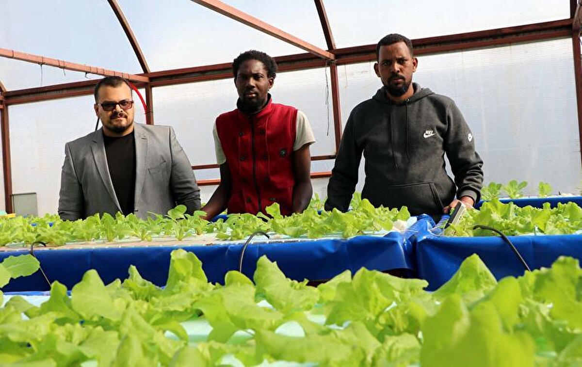 ERÜTAM'da 3 ay önce Toprak Bilimi ve Bitki Beslenme Öğretim Üyesi Doç. Dr. Abdullah Ulaş danışmanlığında 'Yüzen marullar' projesi başlatıldı. Projeye, Irak, Somali, Gana, Filipinler, Endonzeya, Pakistan, Bangladeş ve Sudan'dan gelen 23 yüksek lisans ve doktora öğrencisi katıldı. 