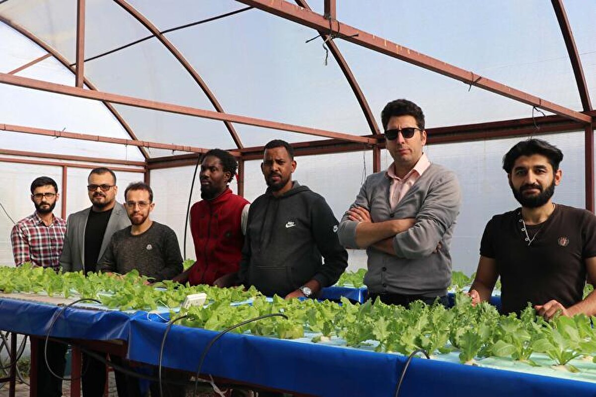 Sadece suyun olduğu sistemlerde, dışarıdan herhangi bir kimyasal maddelerin kullanılmadığını belirten Ulaş, "Bu yetiştirme koşulu, hiçbir ilacın verilmediği, dışarıdan zararlı bir böcek ya da herhangi bir şeyin olmadığı bir yetiştirme koşuludur. Dolayısıyla tertemiz ve kendimizin hazırladığı ve bitkiye ne kadar besin elementi vermemiz gerektiğini biz belirlediğimiz için de bu sistem tamamen 'İyi tarım' şeklinde yorumlanabilir.