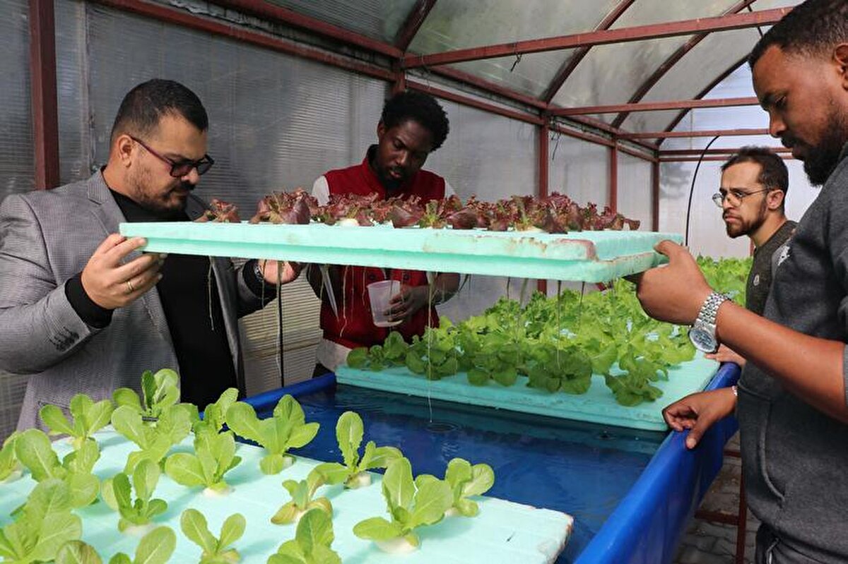 ERÜ Fen Bilimleri Enstitüsü Toprak Bilimi ve Bitki Besleme bölümünde yüksek lisans eğitimi gören Irak uyruklu öğrenci Hawkar Hama Hadı Hama Ameen (36) ise "Irak'ta Ziraat Fakültesi Toprak Bilimleri dalında lisans yaptım. Şu an Erciyes Üniversitesi'nde Toprak Bilimi ve Bitki Besleme Bölümü'nde lisansımı yapıyorum. Burada yüzen marullar üzerinde çalışıyoruz. Çalışmalarımız topraksız tarım üzerine.