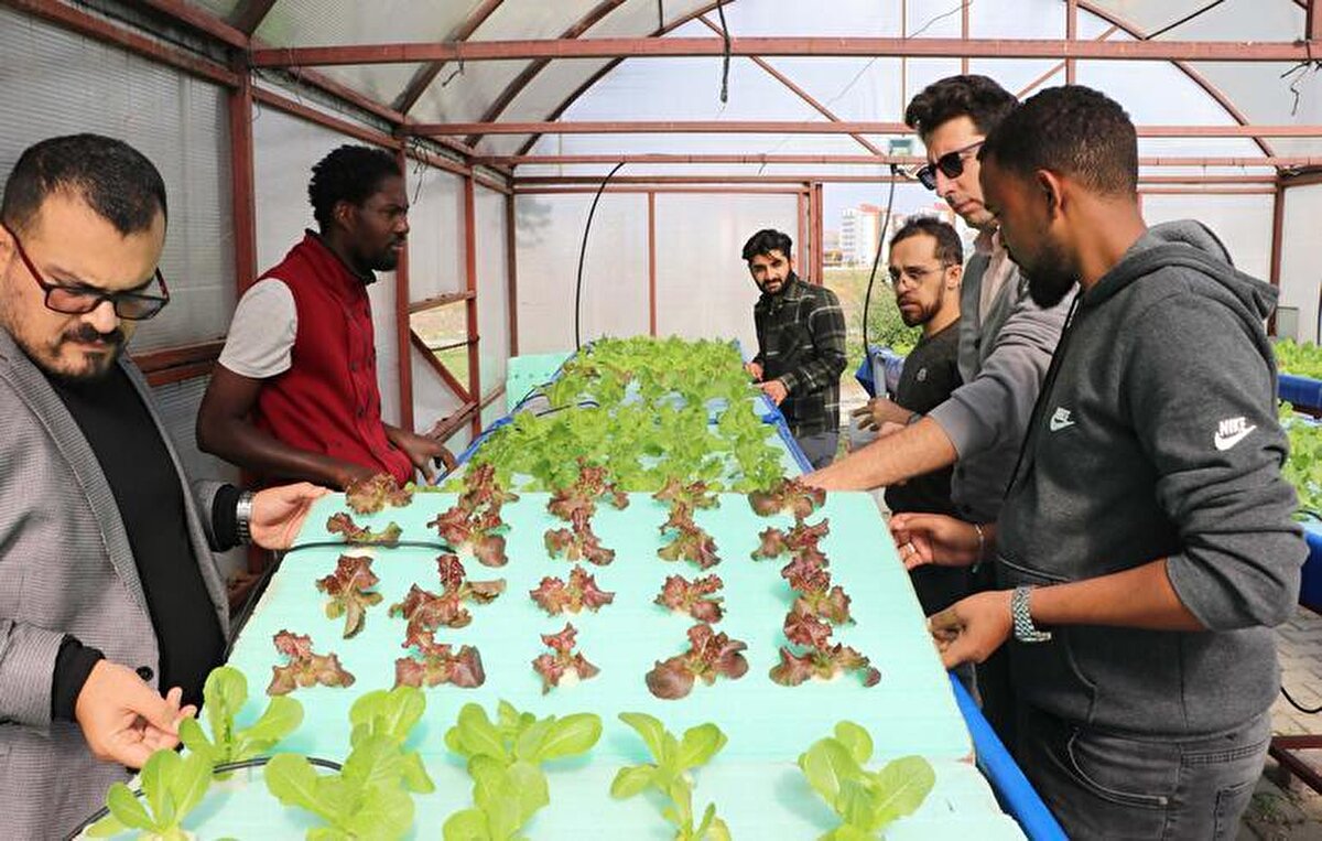 Renklerinin koyu renkli olması verdiğimiz demirden kaynaklı bir durum. Buradaki çalışmadaki amaç şu; birçok farklı ülkeden gelen doktora öğrencilerimiz var. Gana, Somali, Sudan ve Irak'tan gelen bu öğrencilerimizin ülkelerinde bilgi ve teknolojiden uzak olmaları nedeniyle böyle bir proje düşündük. En azından bu projeyi öğrenerek kendi ülkelerine döndüklerinde istihdam imkanı olacak. Temel düşüncemiz bu" ifadelerini kullandı.