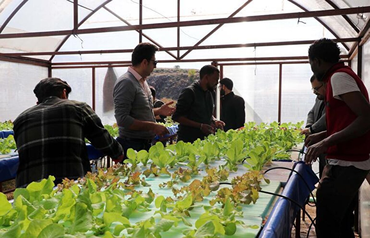 ERÜ Fen Bilimleri Enstitüsü Tarım Bilimleri ve Teknolojileri bölümünde doktora öğrencisi olan Somali uyruklu Sa Ad Mohamed Hajı Nour (32) da "Somali'de Hargıesa Üniversitesi Ziraat Fakültesi'nde lisansımı tamamladım. Türkiye'ye yüksek lisans için geldim. Erciyes Üniversitesi'nde yüksek lisansımı bitirdim. Şimdi doktora öğrencisiyim. Burada yüzen marul projesi yapıyoruz. İnşallah bu işi öğrendikten sonra, insanlarımıza, çiftçilerimize yardım edeceğiz. Ülkemdeki insanlara yardımcı olacağım" ifadelerini kullandı.