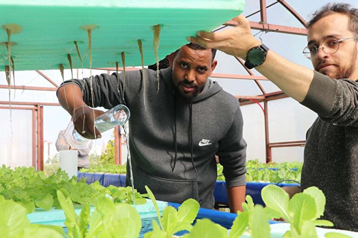 Bu kapsamda öğrencilere toprak kullanmadan su dolu havuzlar içine yerleştirilen straforların üzerinde marul yetiştirme teknikleri anlatılıyor. Eğitim tamamlandıktan sonra öğrenciler ülkelerine dönerek para kazanma imkanı bulacak.