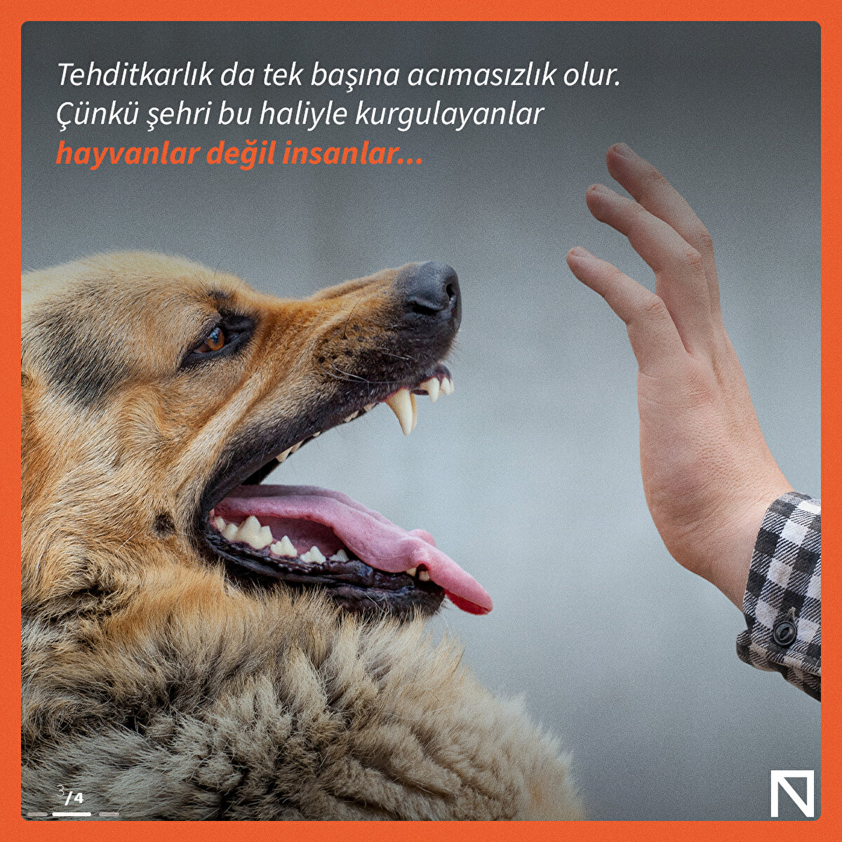 Tehditkarlık da tek başına acımasızlık olur. Çünkü şehri bu haliyle kurgulayanlar hayvanlar değil insanlar...