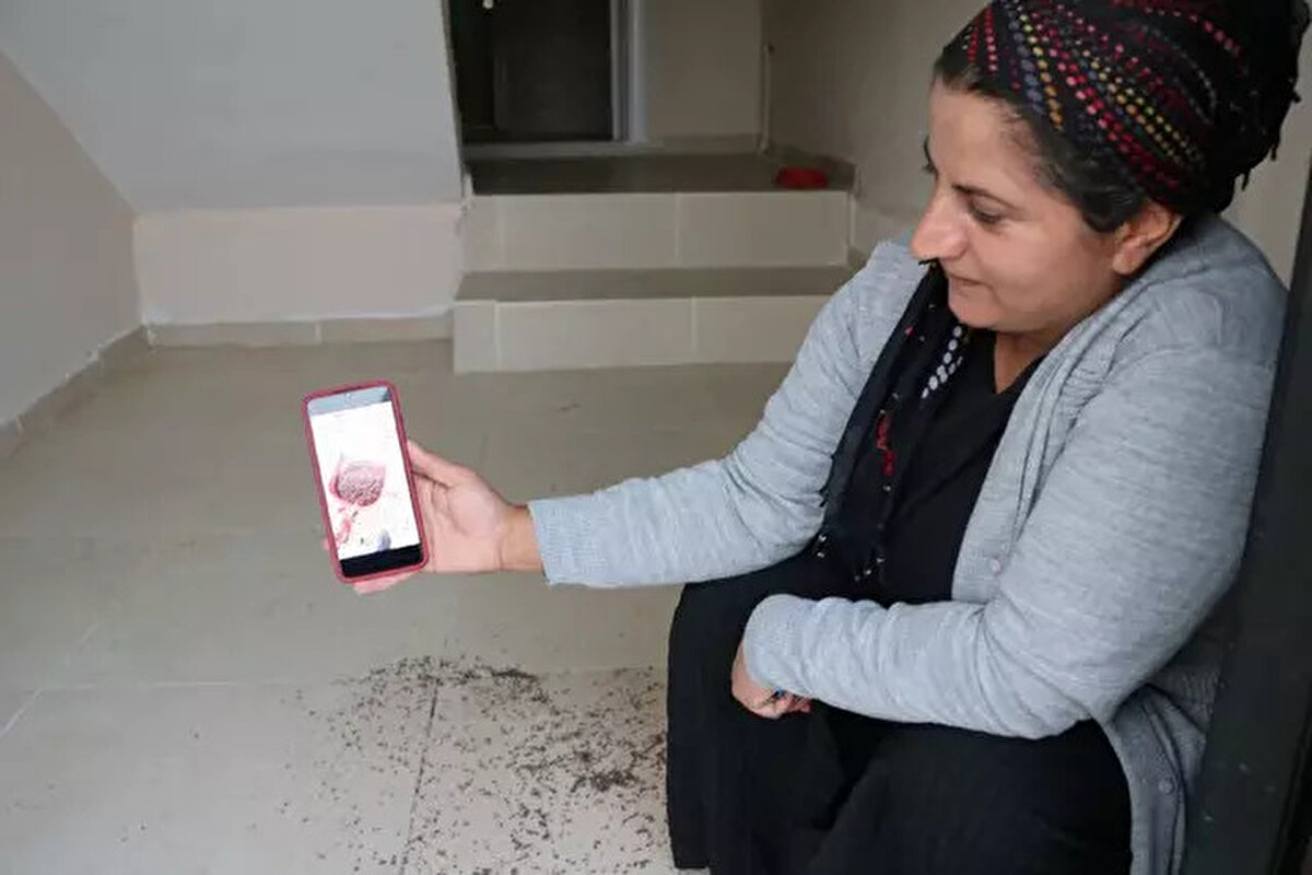 Mücadelede yetersiz kaldıklarını ve sayılarında her geçen gün artış gözlemlediklerini belirten mahalle halkı, yetkililerden yardım istiyor.