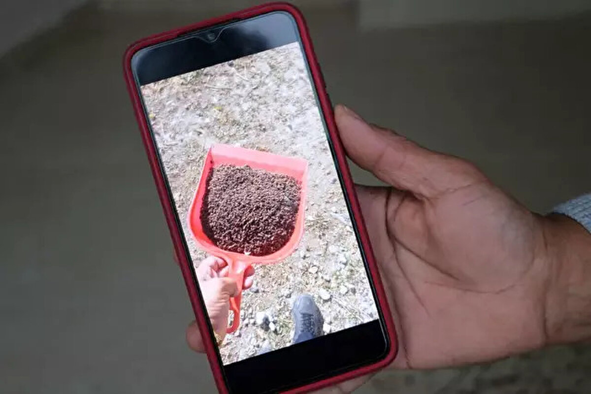 Mahalledeki hemen hemen her evde görülen tespih böcekleri, her gün kürek dolusu süpürülerek dışarı atılıyor.