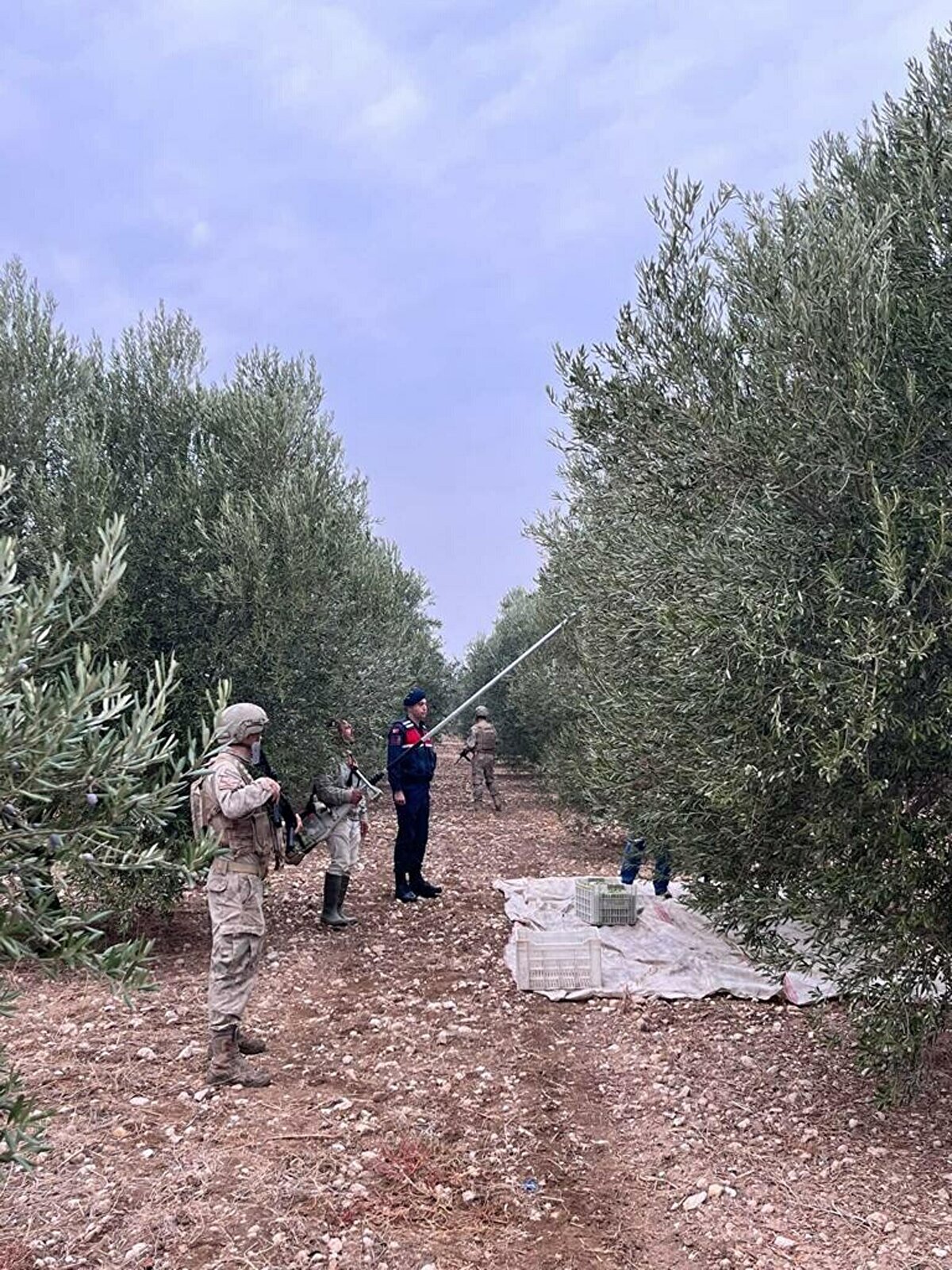 Kontrollerin yanı sıra hırsızlık faaliyetlerine karşı gece görüş cihazları, termal kameralar ile 24 saat boyunca gözetleme yapıldığı da bildirildi.<br>