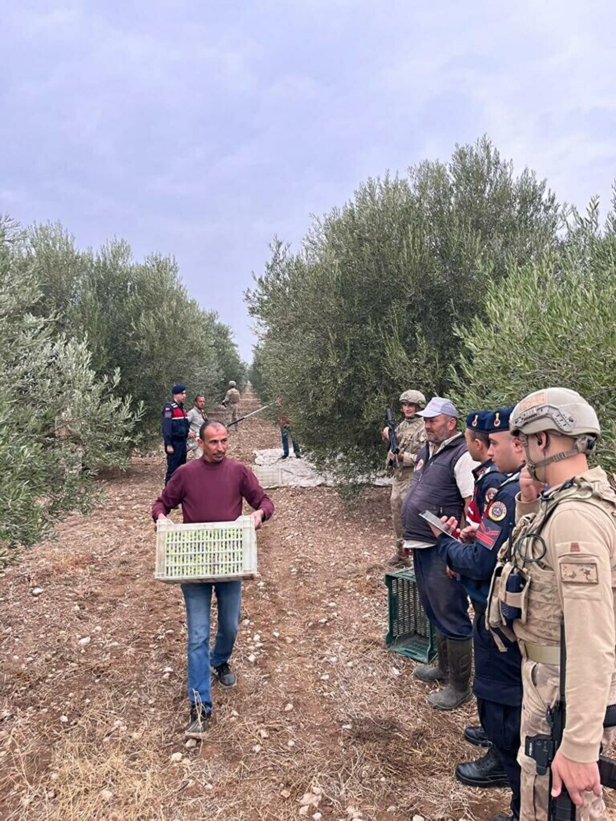 Öte yandan, bu kapsamda dün Kırkağaç ilçesindeki bir tarladaki zeytinleri çalan ve suçüstü yakalanan 4 şüphelinin gözaltına alındığı, ele geçirilen ürünlerin ise sahibine teslim edildiği belirtildi.
