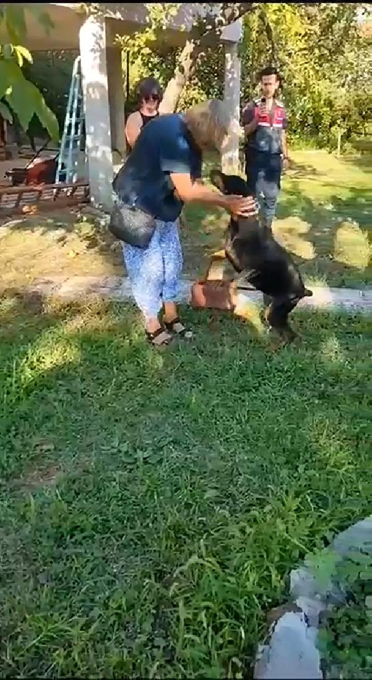 TİNA, ÇALIŞMALARA KATILDI ANCAK KATKISI OLMADI<br>İlk olarak köpeğin yakın bölgede alıkonulurken bırakıldığı ya da kaçtığı değerlendirildi. 'Tina'nın dışkı ve kan örnekleri incelendi; köpeğin doğada kalmadığı bulgularına ulaşıldı. Bunun üzerine arama çalışmalarına, 'Tina' da dahil edildi. 74 gün boyunca, alıkonulduğu yere gitmesi için GPS takılıp, aç bırakılan 'Tina' her defasında, eve geri döndü.
