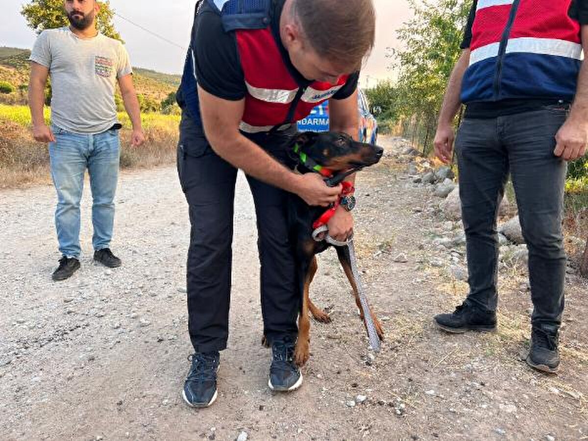 250 KİLOMETRELİK ALAN 5 KEZ TARANDI<br><br>Dron ve İHA'ların da kullanıldığı aramalarda, 250 kilometrekarelik alan, havadan ve karadan 5 kez sil baştan aranmasına rağmen Berzeg ile köpeği bulunamadı. Gönen Cumhuriyet Savcılığı'nın talimatıyla, Korhan Berzeg'in, Armutlu Mahallesi ve İstanbul Büyükada'daki evlerinde arama yapıp, bilgisayarları inceleyen ekipler, 20 kişinin de şüpheli olarak ifadesini aldı. Olay günü ve öncesinde, Armutlu Mahallesi'nden geçen araçların plakalarını belirleyen jandarma ekipleri, 40 araç sürücüsünü de sorguladı ancak hiçbir ize ulaşamadı.