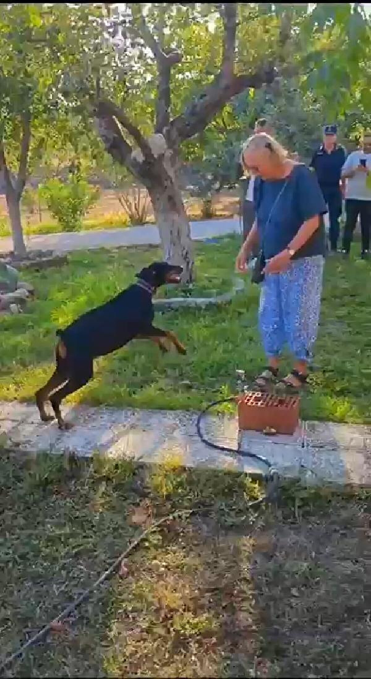 Ekipler, 'Tina'nın otomobille getirilip, bulunduğu yere bırakıldığı ihtimalini araştırmaya başlarken; çalışmalarda katkısı olmayacağı düşünülen köpek, bir süre sonra Angela Berzeg'e teslim edildi. 'Tina', Angela Berzeg ile İstanbul Büyükada'daki evlerine döndü.