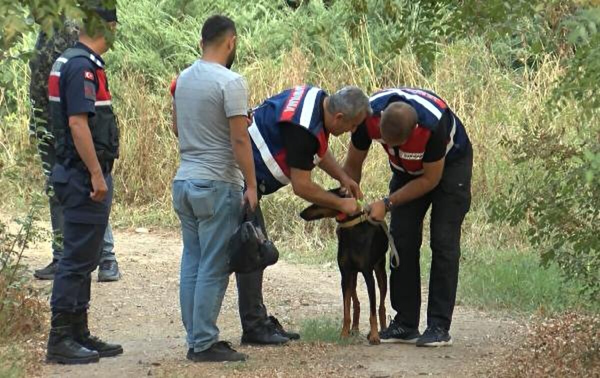 17 Haziran'da telefonunun yanı sıra kimlik ve banka kartlarını da yanına almadan, doberman cinsi eğitimli köpeği 'Tina' ile yürüyüşe çıkan Korhan Berzeg, geri dönmeyince eşi kayıp ihbarında bulundu. Bölgede, AFAD, Jandarma Arama Kurtarma (JAK), Ankara Jandarma Özel Asayiş Komutanlığı (JÖAK) ile gönüllü arama ve kurtarma ekiplerinin yanı sıra iz takip ve kadavra köpekleriyle arama başlatıldı.