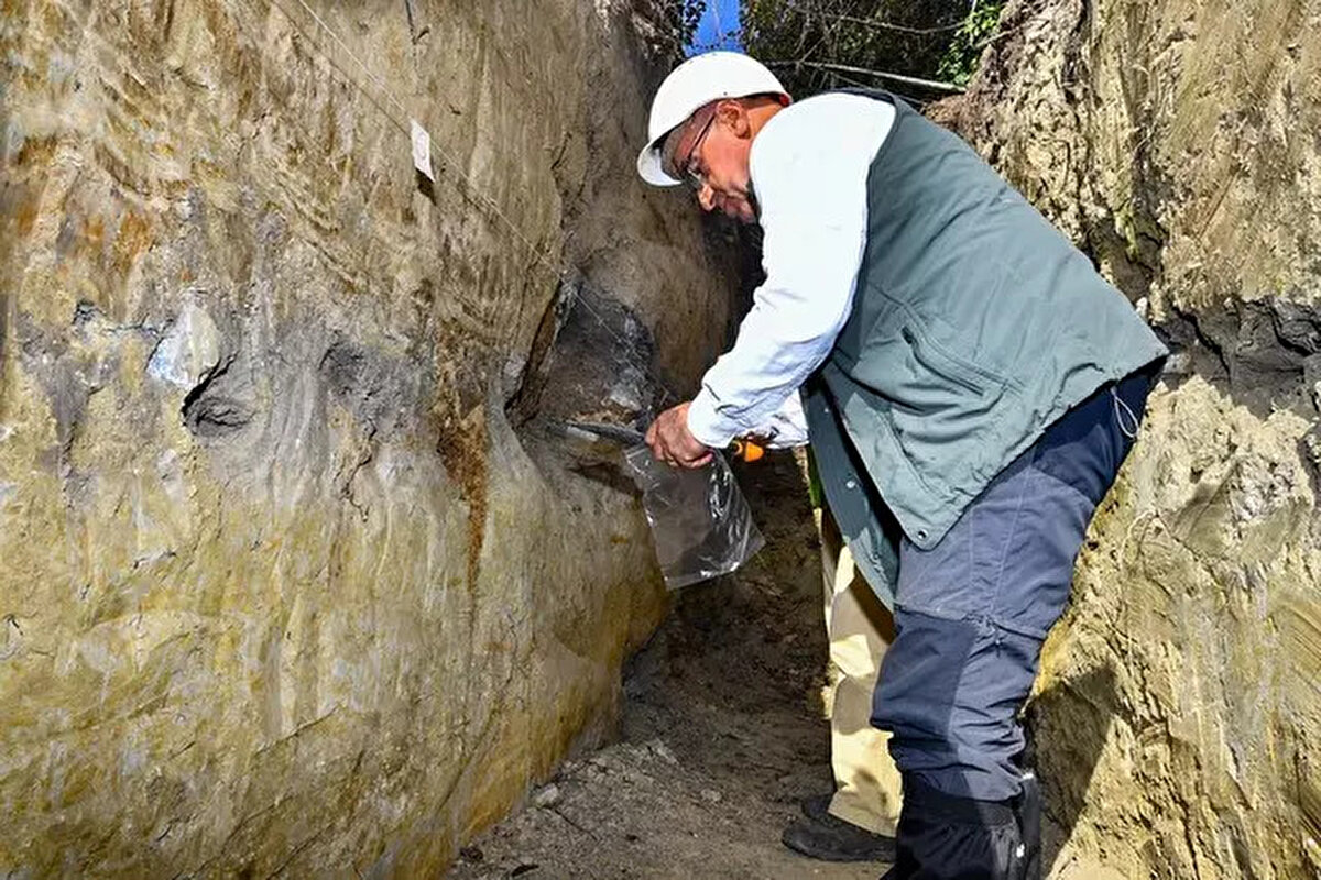 Söke Gülbahçe köyünde açılan hendekte yaptıkları çalışma hakkında bilgi veren Erhan Altunel, "Günümüzden 10 bin yıl önce oluşan genç çökerleri kesen faylar varsa bunları inceliyoruz. Fay gördüğümüz hendeklerden tarihsel depremleri yaşlandırmak için örnekler alıyoruz. Şu ana kadar açtığımız ve fay gördüğümüz hendeklerden aldığımız örnek sayısı 140'dan fazla. Bu örnekleri yaş analizi için gönderdik. Yaş analizleri geldiğinde hangi fayın ne zaman, hangi büyüklükte deprem ürettiğine yönelik bilgimiz olacak." değerlendirmesini yaptı.