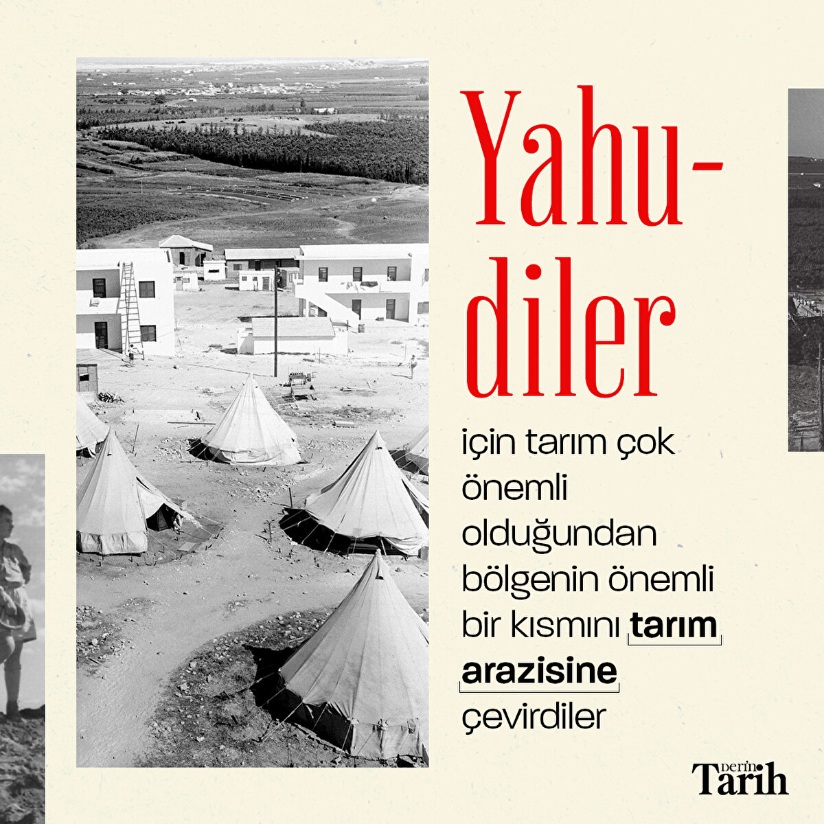 Bölgenin önemli bir kısmı tarım arazisine çevrildi