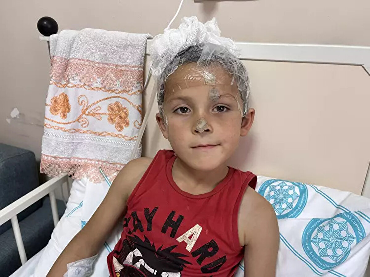 Olay, 9 Kasım'da ilçeye 17 kilometre uzaklıktaki Baharözü köyünde meydana geldi. Muhammet ve Ayet Akbulut çiftinin 4 çocuğundan Emir Ensar, oyun oynamak için dışarı çıktı.