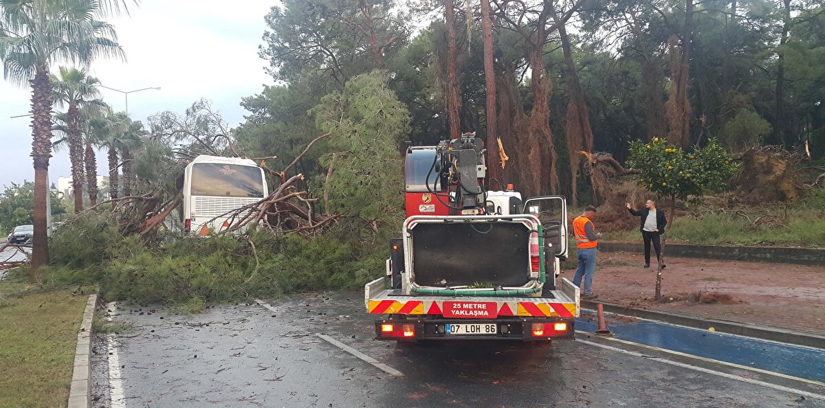 Serviste bulunan 37 otel çalışanından 7'si yaralandı. İhbar üzerine kaza yerine sağlık, polis ve Manavgat Belediyesi ekipleri sevk edildi.
