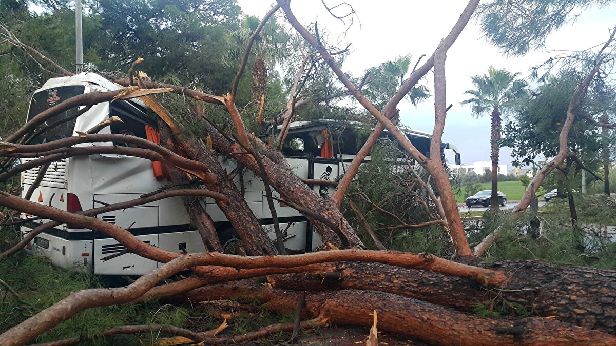 Kaza, saat 07.30 sıralarında Manavgat ilçesi Titreyengöl Turizm Merkezi'nde meydana geldi.