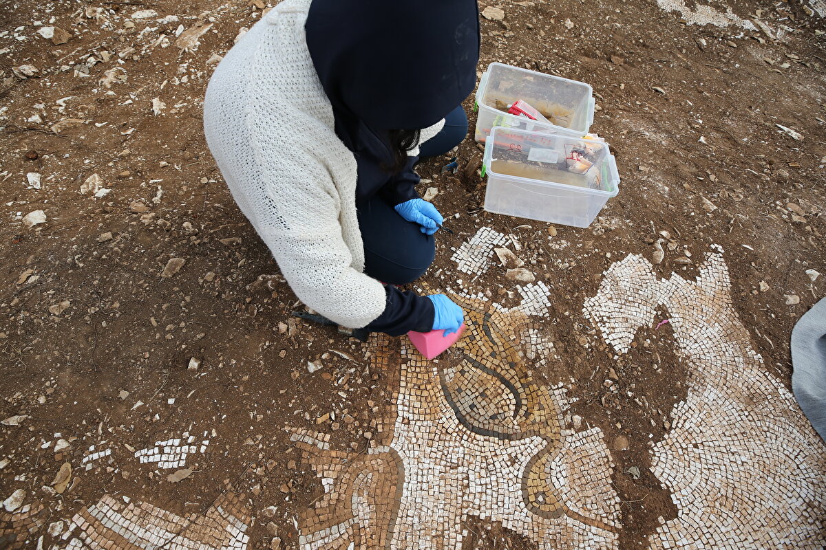 Mardin Müze Müdürü ve kazı başkanı Abdulgani Tarkan, Kızıltepe ve Artuklu ilçeleri arasında bulunan ormanlık alanda Roma dönemine ait yerleşim yerinde kurtarma kazısı yürüttüklerini söyledi.