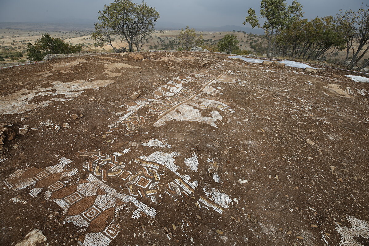 <br>Mozaiklerde balık pulu, yan yana dizilmiş üçgen, yatay ve dikey altıgen, birbirine bitişik sekizgen, kare içerisinde svastika (gamalı haç) motifleri, birbirine geçmeli kenarları yuvarlatılmış kare dizisinden oluşan kemer işi motifler, ağaç, su kuşu, ahtapot, balık, midye, fok, yılan balığı ve su bitkisi figürleri bulunuyor.<br>