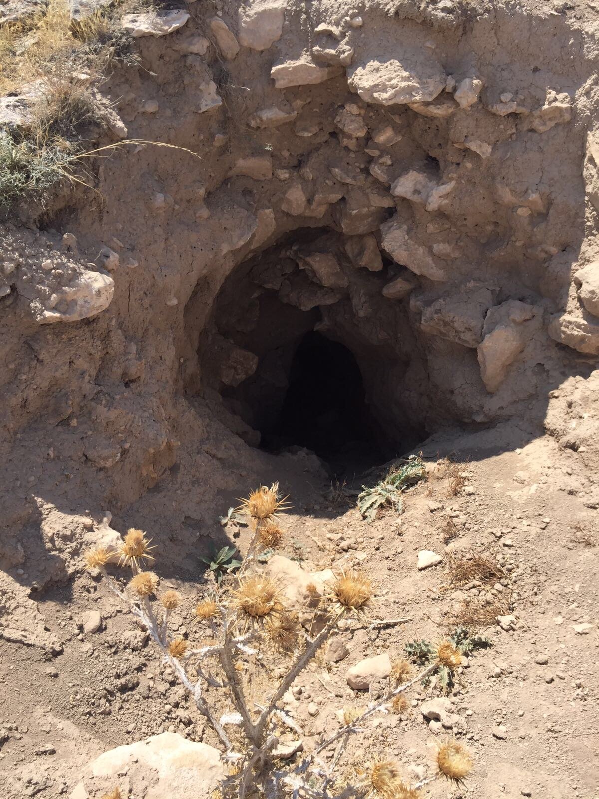 Binlerce işçinin çalışmasıyla mezar odalarının üzerine yığma toprakla kapatılan anıt mezarların içine, hükümdarların değerli eşyaları konuldu.<br>
