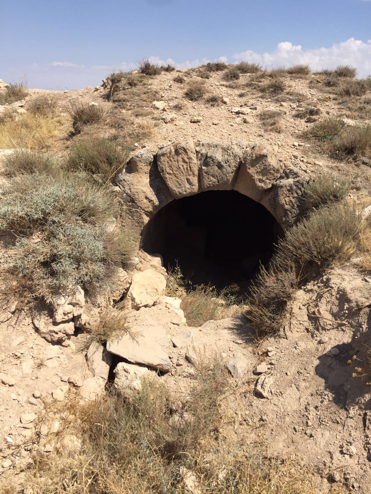 Ondan sonra gelen bütün Kapadokya kralları kendilerine burada Mısır firavunları gibi mezar anıtları yaptırdılar. Mezar anıtlarına, tümülüs diyoruz. En büyük tümülüsler Erkilet, Küçük Kızıltepe, Ali Dağı ve Yılanlı Dağı'nın üzerindekilerdir. Bunların çok önemli bir kral mezarı olduğu muhakkak" diye konuştu.<br>