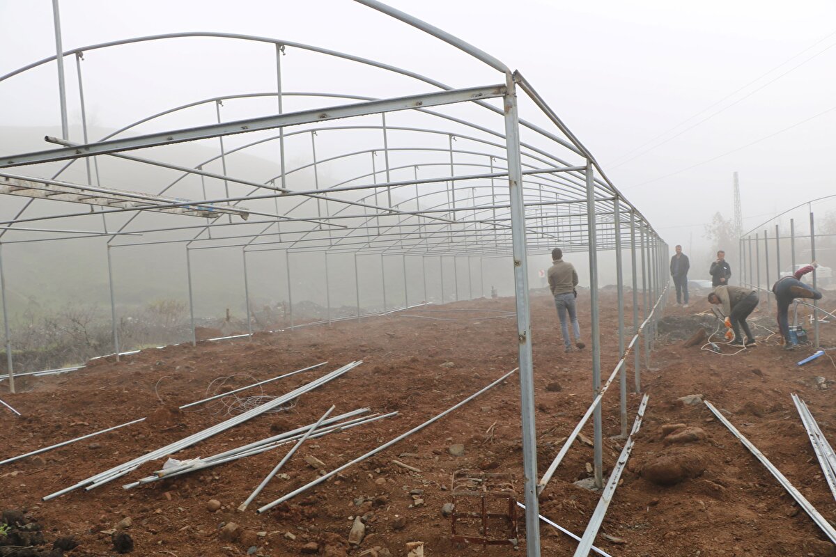 Derecik İlçe Tarım ve Orman Müdürlüğü'nde çalışan ziraat mühendisi Mahmut Kaplan, 30 dönüme kurulan bu seralarda yılda 2 kez ürün alındığını söyledi. Kaplan, 2023'te seralarda bin ton sebze yetiştirildiğini ve çiftçilerin bu ürünlerinin büyük bölümünü askeri üs bölgeleri ile Van ve Hakkari'de satarak para kazandıklarını anlattı.<br>
