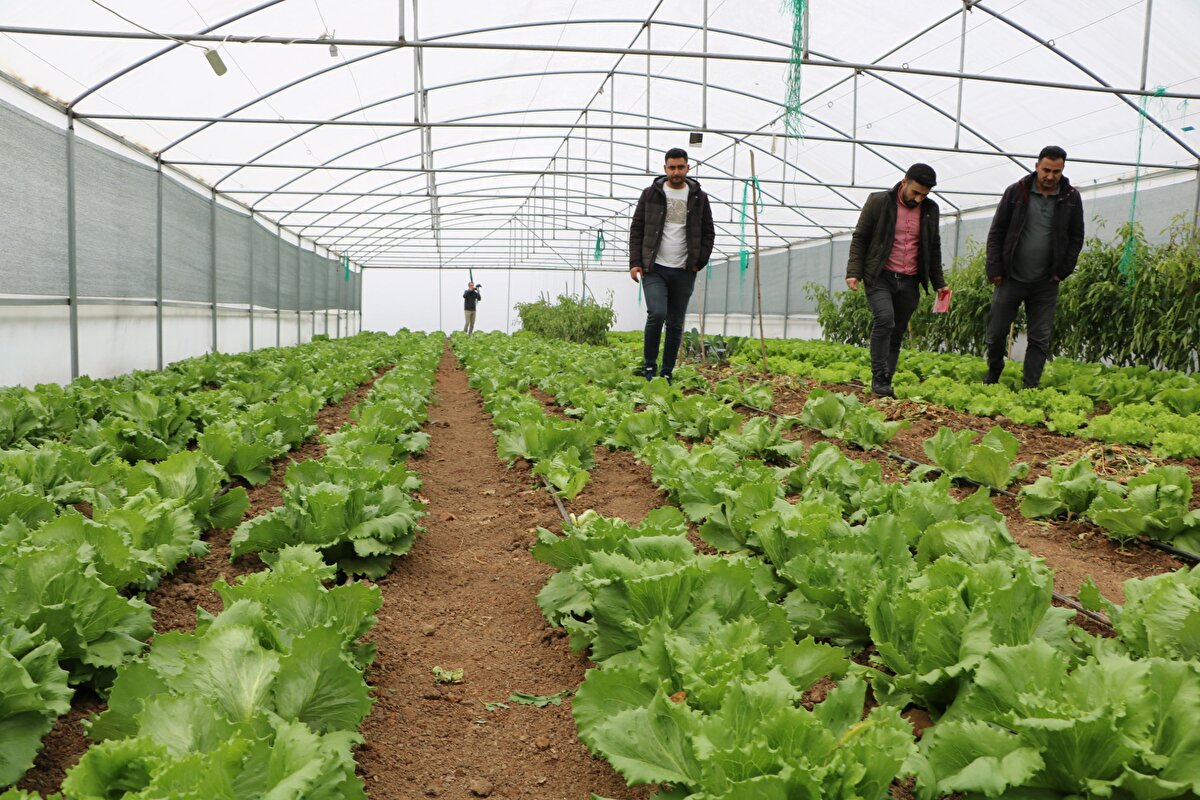 Daha önce belde olarak bağlı bulunduğu Şemdinli'ye 65, il merkezine 200 kilometre uzaklıktaki Derecik, 2018'de Bakanlık Kurulu kararı ile ilçe oldu. Daha önce sık sık terör olayları ile gündeme gelen, Irak sınırına sıfır noktadaki 1450 rakımlı ilçe, Türk Silahlı Kuvvetleri'nce terörden temizlenince hızla gelişmeye başladı. Bölgedeki huzur ortamı ile özellikle tarım ve hayvancılık faaliyetleri hız kazandı.<br>