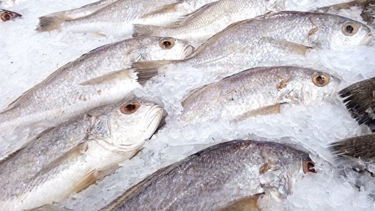 DONDURULMUŞ BALIK VE DENİZ ÜRÜNLERİ:<br><br>Zararlı içerik: Tert-bütilhidrokinon