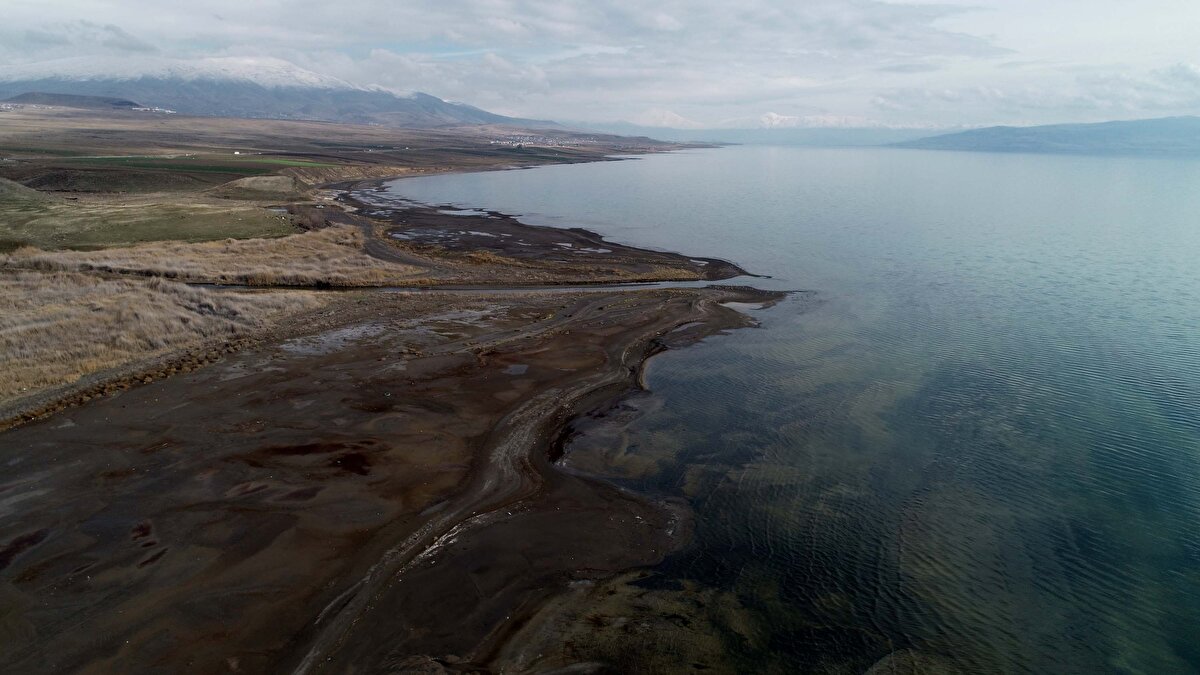 Çekilen ilk karede su altında olan bölgede artık otların çıktığını söyleyen Coşar, "Fotoğraf arşivime baktığımda daha önce çektiğim ve bugün çektiğim fotoğraflarda çok fark var. Van Gölü'nün su seviyesi oldukça düşmüş. Özellikle bu alanda çektiğim fotoğraflar ile bugün bu alandaki duruma baktığımda tehlikenin boyutlarını görebiliyorum.<br>