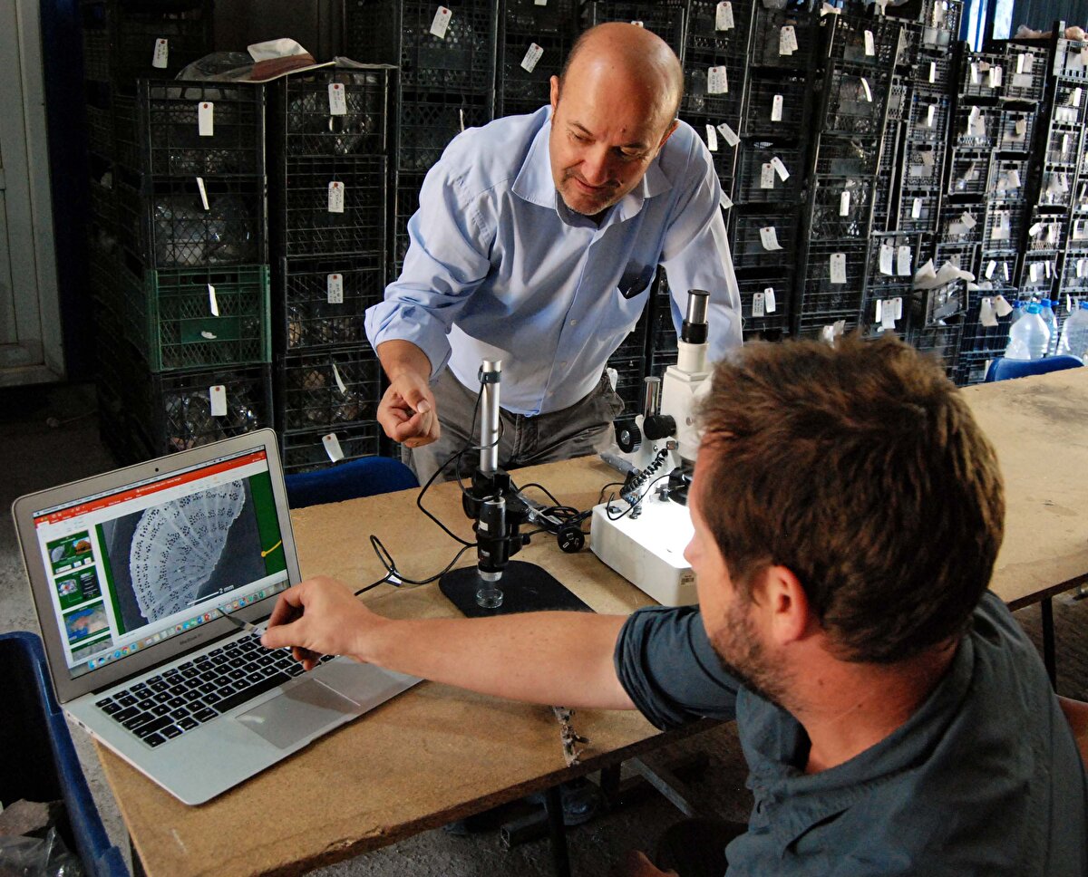 'BU BÖLGEYE HAS OLMAYAN BİRÇOK BİTKİ KARŞIMIZA ÇIKABİLİYOR'<br>Kültepe kazılarında Kayseri'nin iklimine uygun olmayan birçok bitki ve meyve türüne de rastlanıldığını belirten Prof. Dr. Kulakoğlu, "Örneğin; polen mikroskobik ölçülerde bir objedir. Polen çalışmaları ile biz sadece arkeolojik obje olarak değil, o dönemde kullanılmış objeleri ve yaşamış varlıkları da tespit edebiliyoruz.