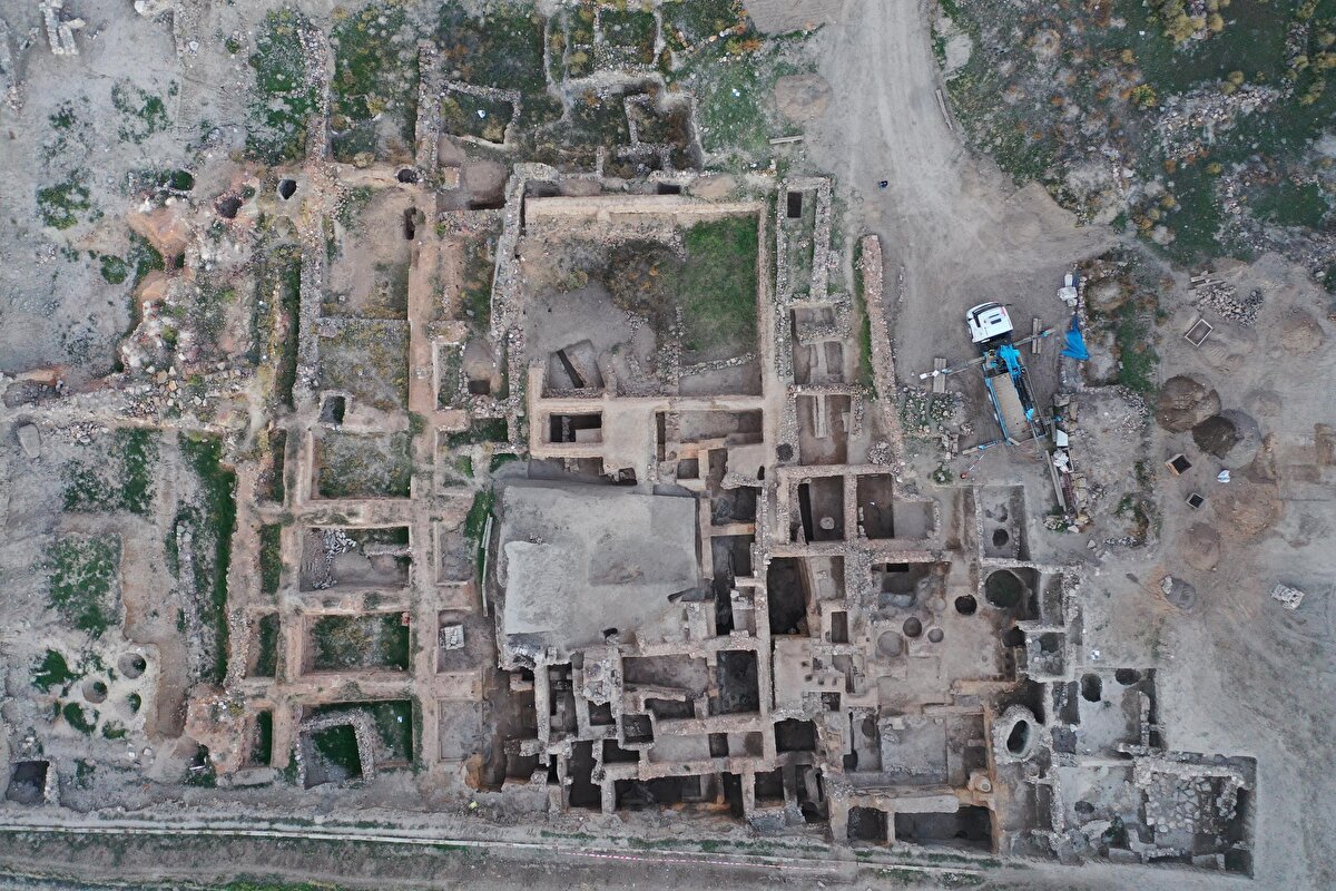 Çeşitli bitki türleri, yerli ve yabancı uzmanlar tarafından incelenerek, bilim dünyasına katkı sağlıyor.<br>