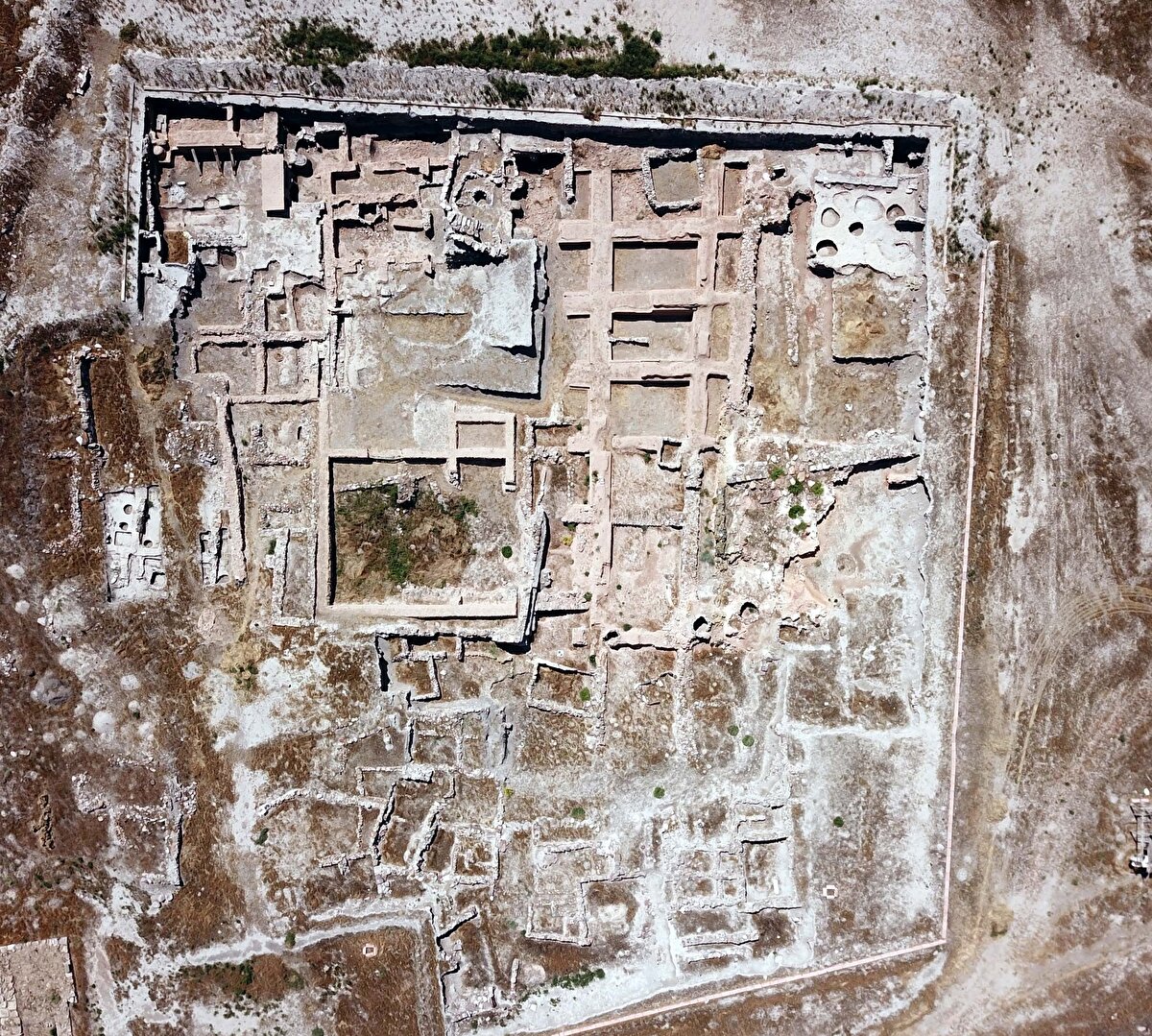 Polen kalıntılarından bu bitkilerin cinslerini de ayırabiliyorsunuz. Bazı bitkilerin evcilleştirildiğini ve kültüre alındığını da tespit edebiliyoruz.<br>