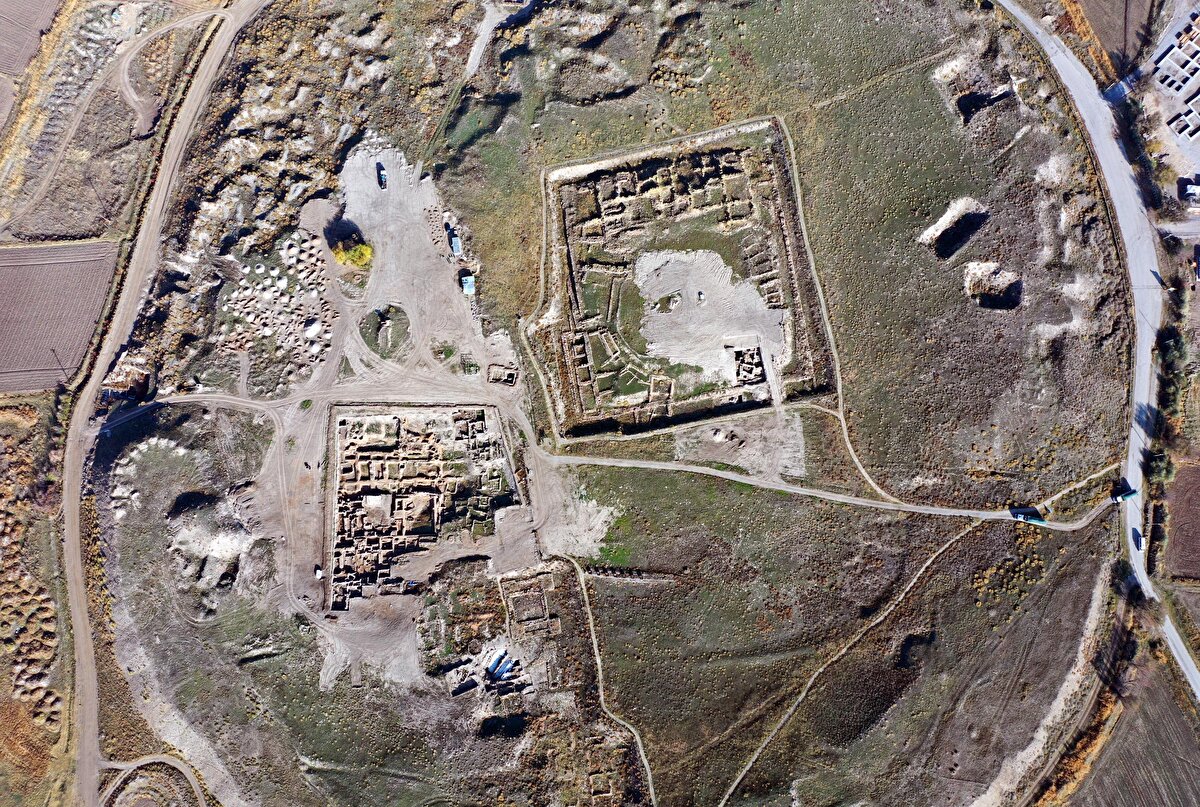 Bu yıl, 75'inci yılına giren kazılarda, ortaya çıkan birçok bitki türü de yerli ve yabancı araştırmacıların ilgisini çekiyor.<br>