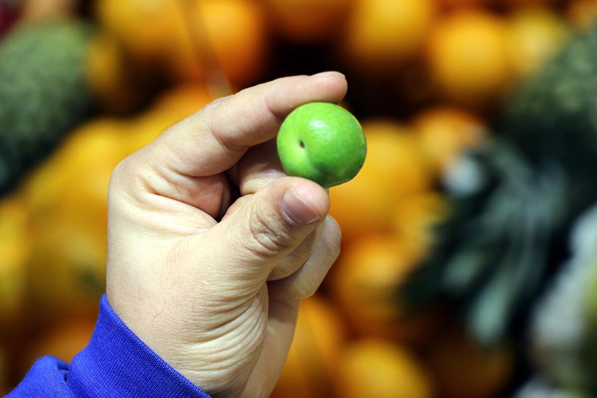 Yurt dışından gelen ürünler de normal döneminden gelenlere göre daha pahalı oluyor. Fiyat pahalılığı nedeniyle almayanlar ya da vazgeçenler de oluyor.