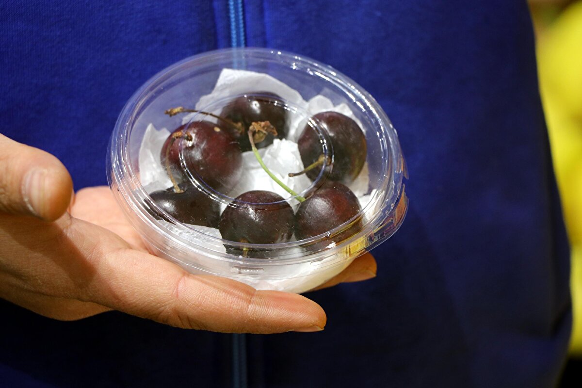 5 yıldır manav işleten Ekrem Kanarya (32), "Aşerenler için meyve temini yapıyoruz. Mevsim dışı meyveler için hamile eşleri, günün her saati arıyor. Aşeren kadınlar, genellikle kayısı, kiraz, erik, çilek gibi kış mevsiminde bulamadıkları birçok ürünü buradan alabiliyor. İşletmemiz kapalı olsa dahi kadınlar aşerdiği için akşam işletmemizi açıp, ürünlerin teminini sağlıyoruz" dedi.