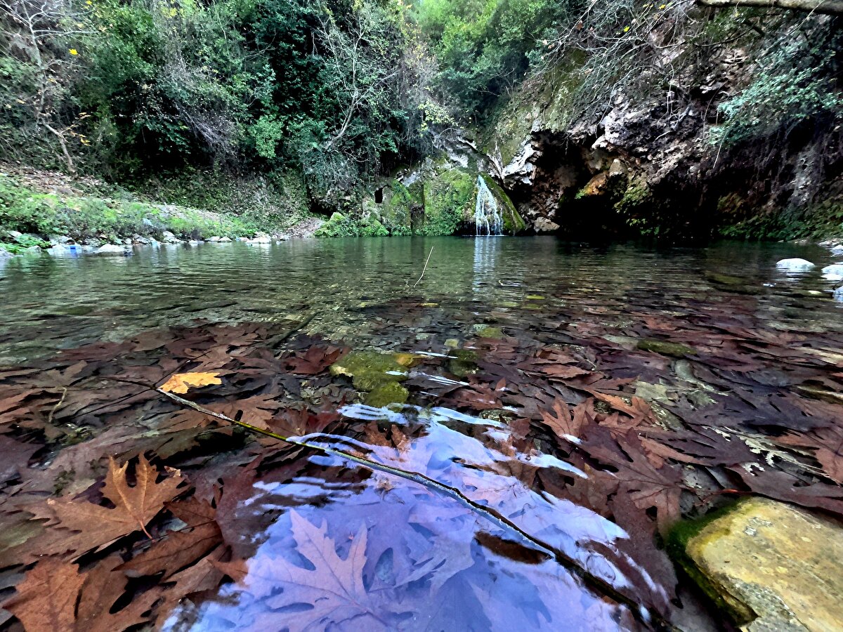 Adını doğasından alan Yeşil Şelale, tüm doğaseverlerin uğrak noktası oldu.<br>İşte doğada kendiliğinden oluşan o muhteşem manzara...<br>