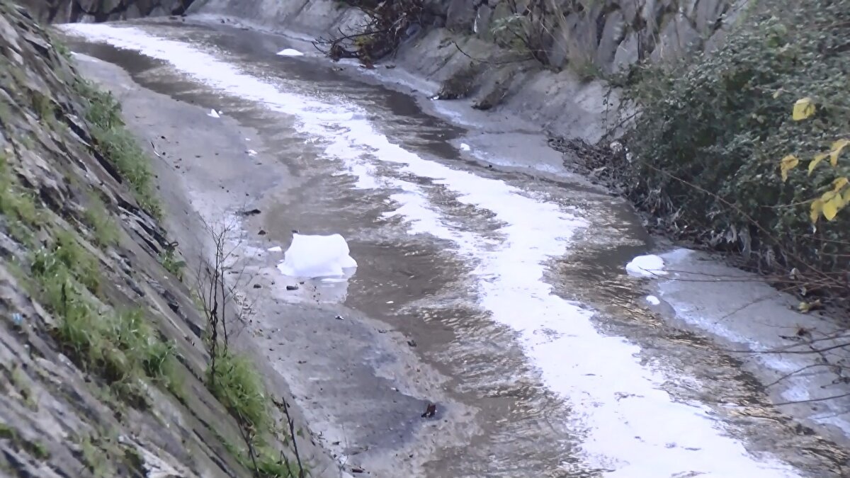 "ÇOK KÖTÜ BİR KOKU"<br>Meral Mercan ise, "Ben 5 yıldır burada oturuyorum, köpük sürekli var, nereden geldiğini bilmiyorum. Yaz aylarında aşırı derecede sinek, çok kötü bir koku, camları açtığınız zaman değişik değişik böcekler camın önüne geliyor. Normalde belediyeyi aradığımız zaman, ilaçlama, gelip buraya bakma gibi bir şey görmedim" ifadelerini kullandı.<br>İstanbul Büyükşehir Belediyesi ise köpüklenmeyle ilgili inceleme yapıldığını belirtti.