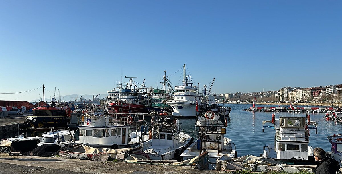 Balıklar, sabah saatlerinde teknelerden alındı. 