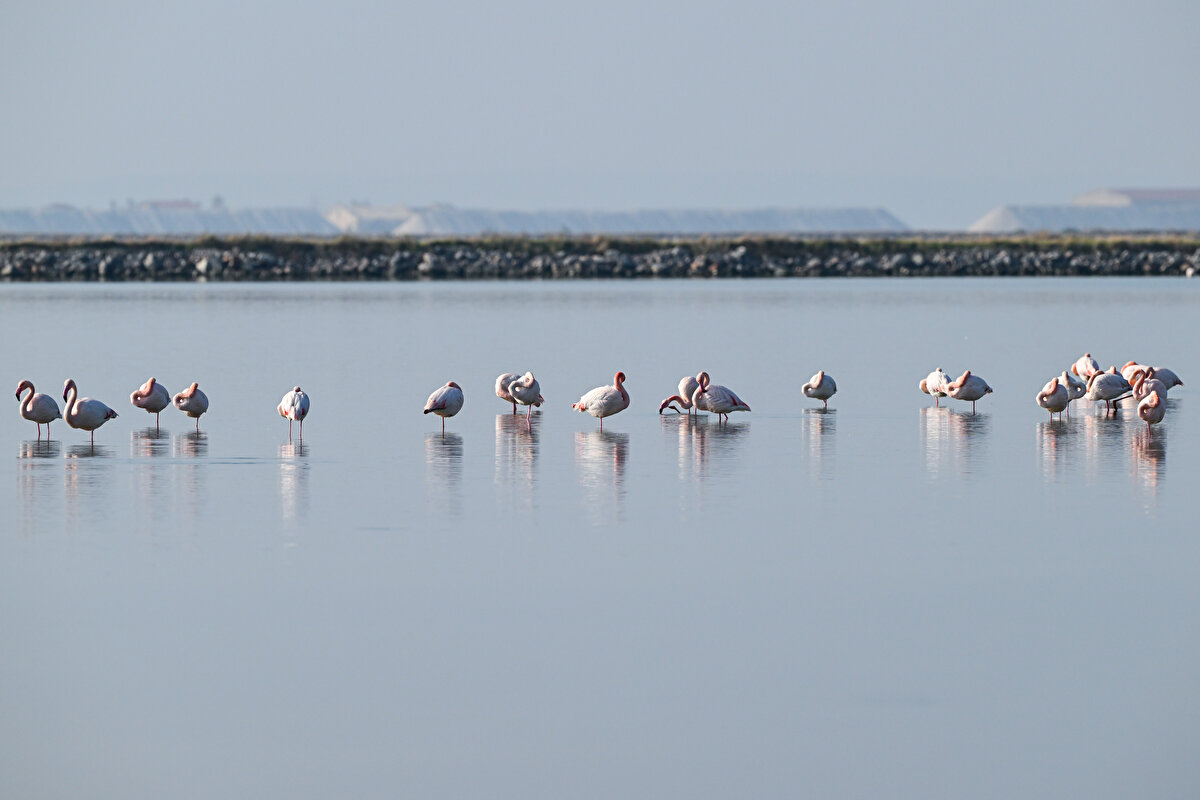 Delta, Doğu Akdeniz’in en büyük deltalarından biri olma özelliğini taşıyor. 