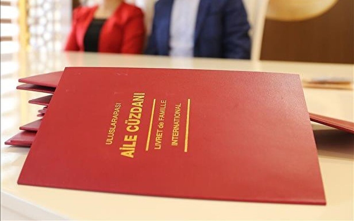 Aile cüzdanı bedeli 705 lira olurken sürücü belgeleri ve sürücü çalışma belgeleri (karneleri) 990 lira, motorlu araç tescil belgesi 885 lira, iş makinesi tescil belgesi 740 lira, banka çekleri (her bir çek yaprağı) 55 lira, mavi kart 130 lira, yabancı çalışma izni belgesi ve çalışma izni muafiyeti belgesi bedeli 565 lira olarak belirlendi.