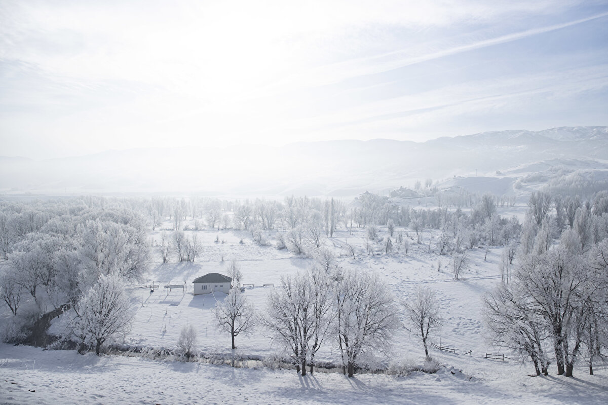 Munzur Vadisi Milli Parkı'nda soğuk hava nedeniyle ağaçlarda kırağı oluştu.
