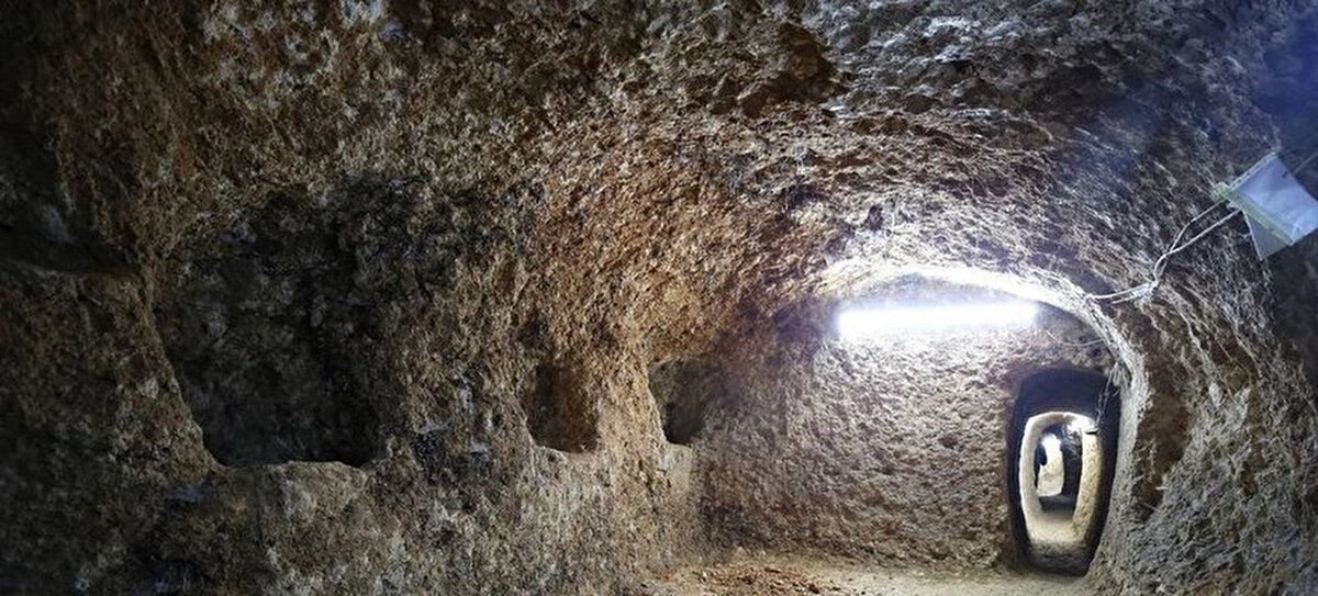 "Bulduğumuz üzüm çekirdeklerinden antik bir tohum elde etmeyi umuyoruz. Bin yıl önce bu topraklarda yetişmiş bir üzüm türüne rastlarsak bu bizim çalışmalarımızı taçlandıracak."