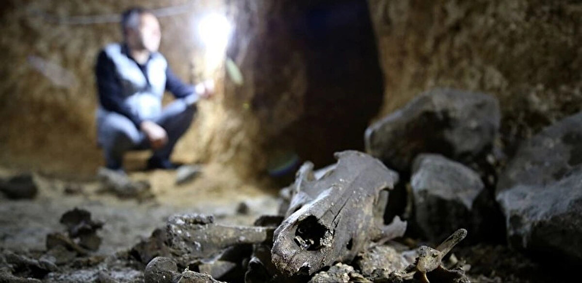 Uğuz, yer altı şehrinde evsel mekanlar, bağlantılı galeriler, odayı andıran yaşam alanları, su kuyuları, sarnıç, şaraphane, ocaklar, atölyeler, bacalar, aydınlatma için kandil yerleri, kilerler, depolar, havalandırmalar ve niteliği henüz araştırılan mekanlar bulunduğunu ifade etti.