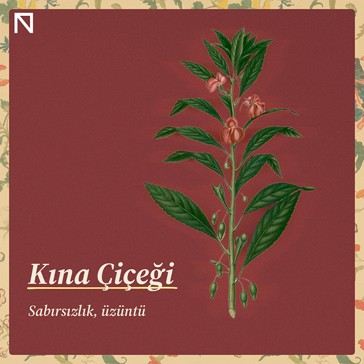 Sabırsızlık, üzüntü