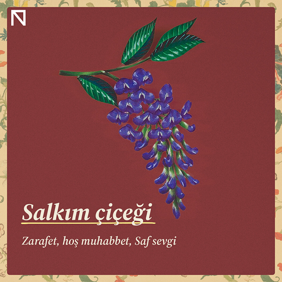 Zarafet, hoş muhabbet, Saf sevgi