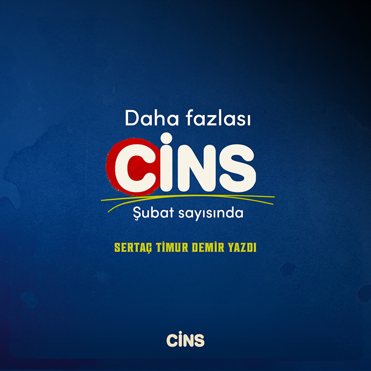 Sertaç Timur Demir 
yazdı 