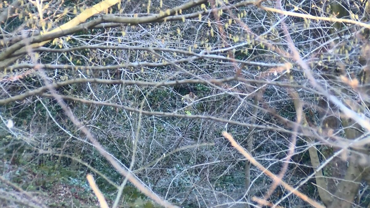 Arazi şartları nedeniyle atıldığı yerden çıkarılamayan ceset için olay yerine itfaiye ekibi çağırıldı. Gelen itfaiye ekibi yaklaşık iki saat süren çalışmaların ardından cesedi bulunduğu yerden çıkardı.