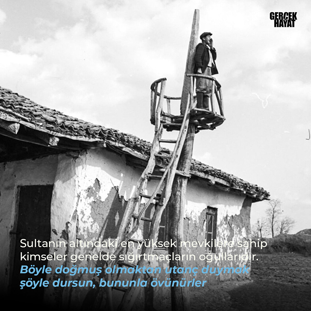 Böyle doğmuş olmaktan utanç duymak şöyle dursun, bununla övünürler