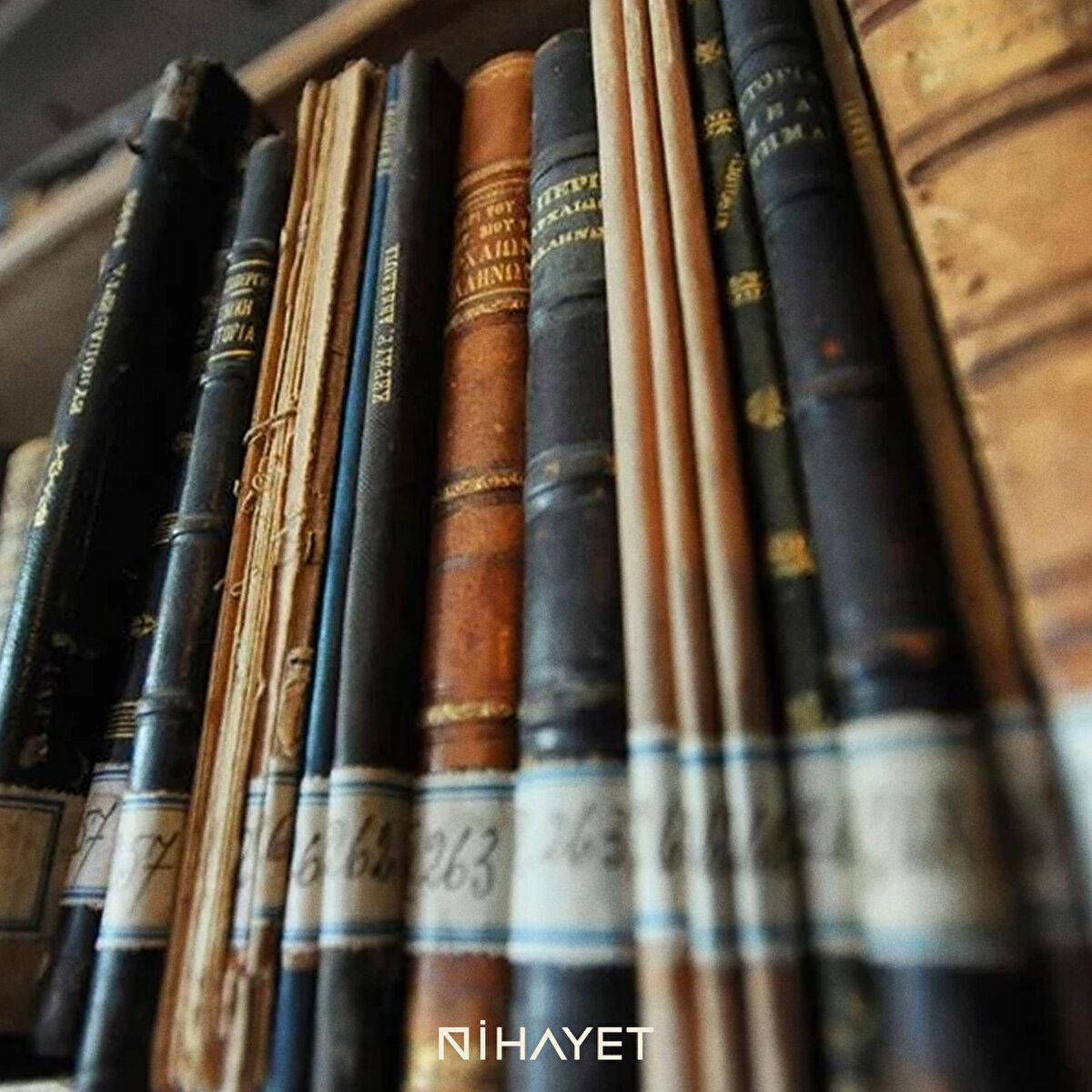 Arapça kitap ve lügatlar ile Latin dili ve edebiyatına ait birçok kitaplar da burada mevcut.