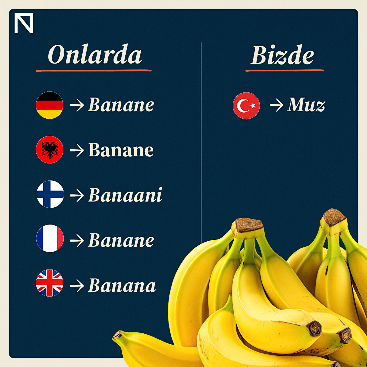 Birçok dil, banana olarak telaffuz ederken biz Muz demeyi tercih etmişiz.