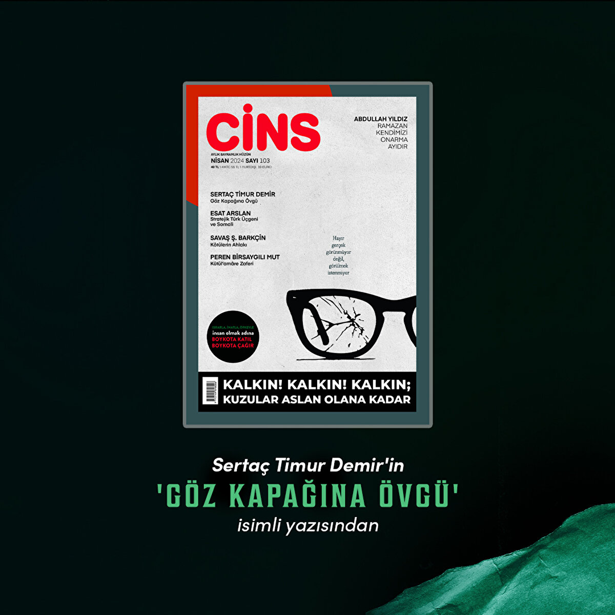Sertaç Timur Demir'in 'Göz Kapağına Övgü' isimli yazısından